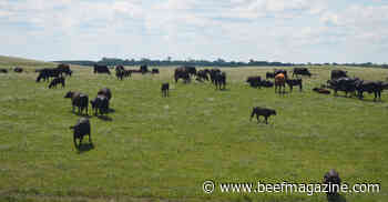 Delay pasture turnout to avoid grass tetany
