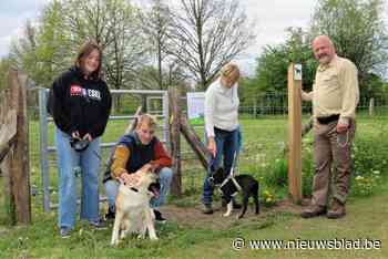 Honden kunnen ravotten in nieuwe losloopzone, erbuiten moeten ze aan de leiband: “Wie hardleers is, vliegt op de bon”