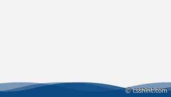 10+ CSS Wave Animation Examples