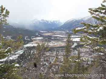 Column Brandon Pullan: Banff Once Had a Zoo - The Crag and Canyon
