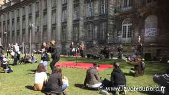 Arras : garden party culturelle au jardin du palais Saint-Vaast - La Voix du Nord