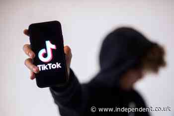 Actor sues TikTok for using her voice without permission