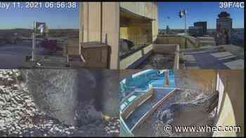 Baby Alert!: Rfalconcam announces Beauty's first baby has hatched