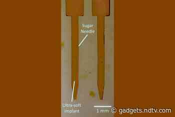 Sugar-Coated Brain Implants: Scientists Find Sweet Solution to a Hard Problem