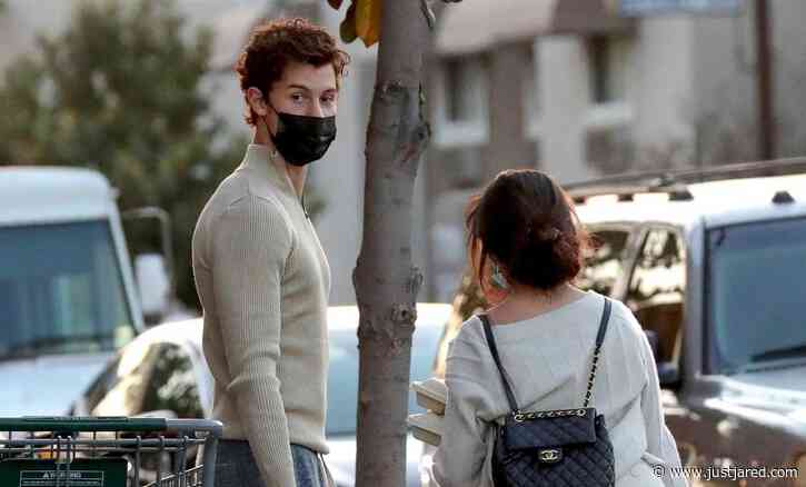 Shawn Mendes & Camila Cabello Grab Groceries Together in L.A. - New Photos!