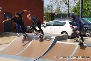 Ook Melse jeugd massaal aan het skateboarden: gratis lesdag meteen volzet