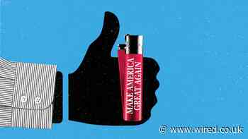 Fix Section 230 and hold tech companies to account