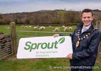 Support scheme sprouts up for food and farm innovators - Ballymena Times