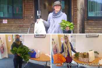 Helston Local Food Hub celebrates its one year anniversary - Falmouth Packet