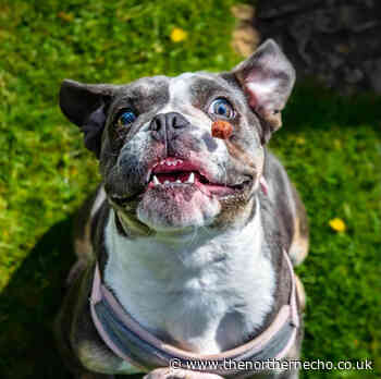 Snack attack! Animals do anything for food in this week's pictures - The Northern Echo