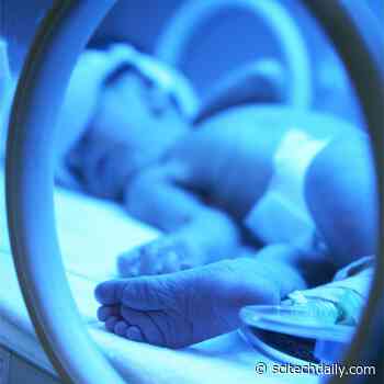 Experimental Gene Therapy Cures Children Born Without an Immune System in Clinical Trials