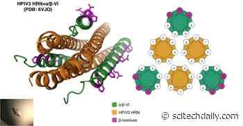 Scientists Engineer a Better Way to Block Viruses That Cause Childhood Respiratory Infections