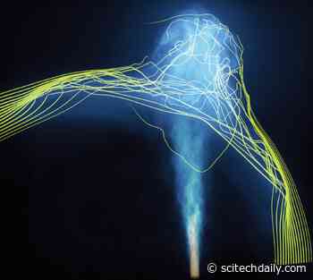 A New Window to See Unexplored Hidden Side of Magnetized Universe