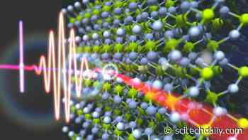 Dual Character of Excitons in Extreme Ultrafast Time Scales: Atomic-Like or Solid-Like?