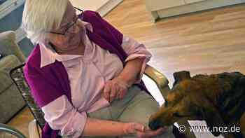 Emma fährt sogar alleine Fahrstuhl: Straßenhund im Corona-Kuscheleinsatz im Seniorenheim in Dissen - noz.de - Neue Osnabrücker Zeitung