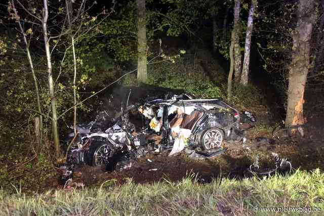 Nico (45), vader van drie, sterft na zware klap tegen boom: “We verliezen niet enkel een broer, maar ook een echte vriend”