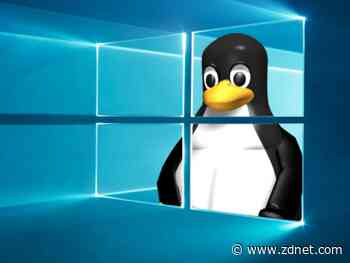 Porting Linux's eBPF to Windows 10 and Windows Server