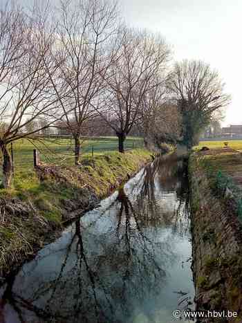 Gerardine Soors wint fotowedstrijd van Neos Kinrooi - Het Belang van Limburg