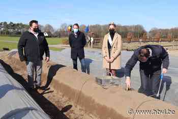“Asperge is lekker 'Kinroois vaccin' voor een goede gezondheid” - Het Belang van Limburg