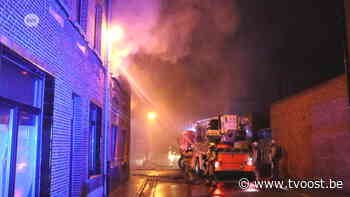 Bewoonster lichtgewond, hond overleeft appartementsbrand niet in Dendermonde - TV Oost