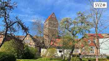 Pfingstsonntag in Parchim: Zwei Jahrgänge feiern Konfirmation in den Pfarrgärten | svz.de - svz – Schweriner Volkszeitung