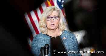 Fred Weinberg: Getting Rid of Liz Cheney Is the Start to Taking Back Our Government