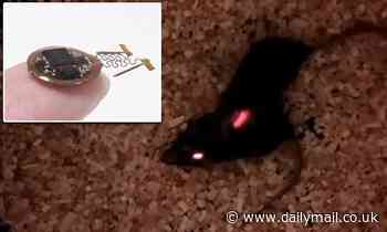 Brain implants force mice to make friends