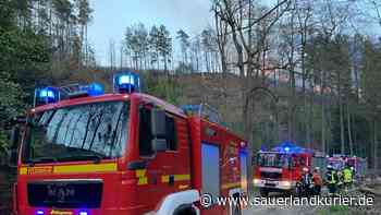 Waldbrand bei Marsberg-Essentho: Schwieriger Großeinsatz für die Feuerwehr - sauerlandkurier.de