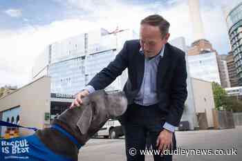 Welfare action plan for pets, wildlife and livestock set out - Dudley News