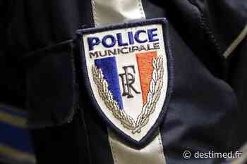 Nice : la police municipale prend de la hauteur - DESTIMED (L'info des deux rives)