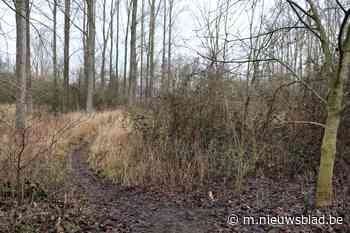 Wiestermeersch 3,3 ha groter - Het Nieuwsblad