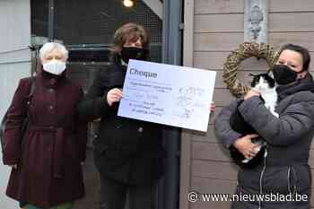 Kunstraad steunt vzw Noah - Het Nieuwsblad