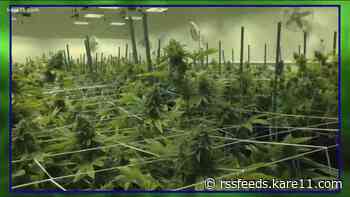 Minnesota House set to vote on whether or not to legalize recreational marijuana Thursday