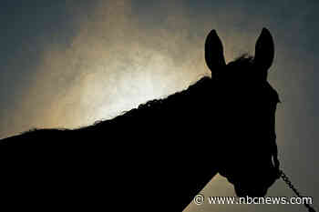 The Preakness is marred before a single horse has even taken a stride