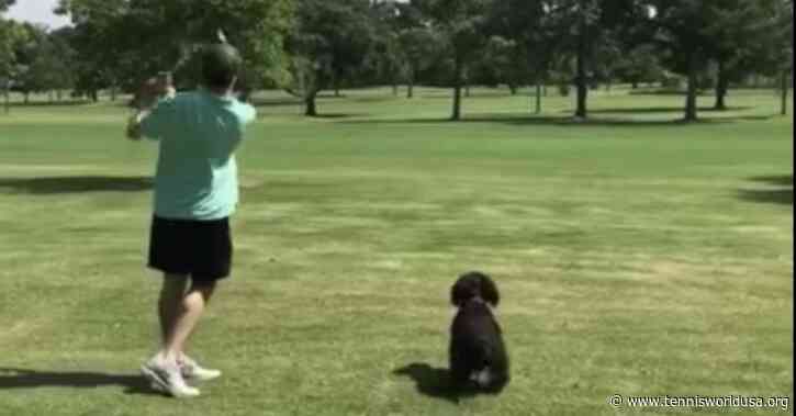 Puerto Rico, golfer killed a dog on the course