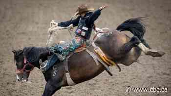 Fallout from rogue event worries other Alberta rodeo organizers