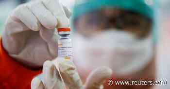 Indonesia study finds China's Sinovac COVID-19 vaccine effective in medical staff - Reuters