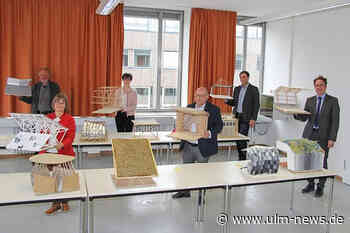Neu-Ulmer Schüler gewinnt beim Wettbewerb Junior.ING