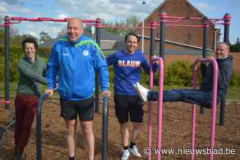 Laarne pioniert met beweegpark: “Het is meteen ook een ontmoetingsplek” - Het Nieuwsblad