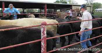 Fight animal ag misinformation with facts, expert says