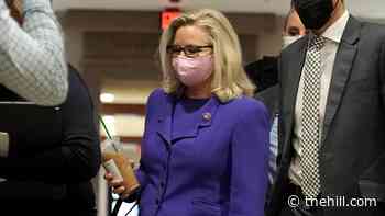 GOP votes to dump Cheney from leadership