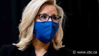 Why we just witnessed a pro-Trump purge in the Republican Party