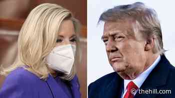 Trump celebrates Cheney ouster: A 'bitter, horrible human being'