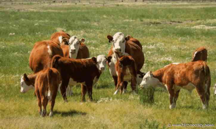 The Insidious Technocrat War On Food And Human Diet