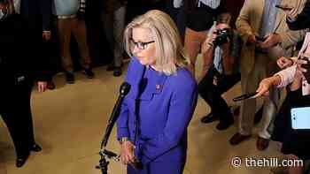 Cheney sits with NBC for exclusive interview after ouster