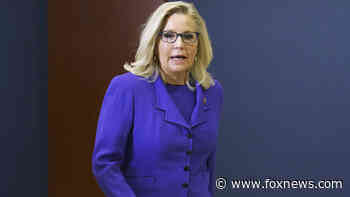 What Liz Cheney told Republican colleagues before they quickly voted her out