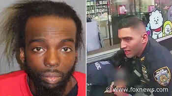 Times Square shooting suspect arrested in Florida: sources