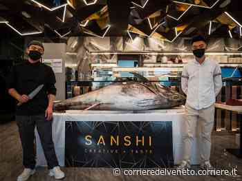 Verona, tonno rosso gigante da 280 chili «sbarca» in un ristorante di sushi - Corriere della Sera