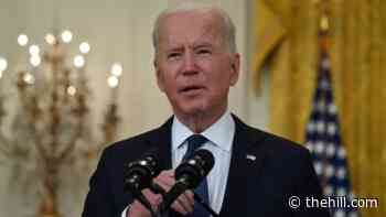 Biden's internal polling touts public support for immigration reform