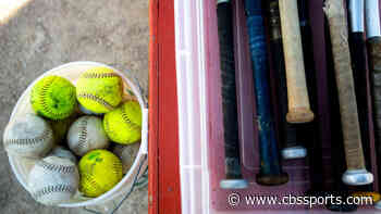 Kentucky high school softball pitcher strikes out all 21 batters while pitching a perfect game